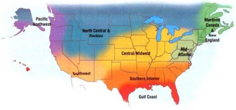 Seasonal Tips for Gardening Zones October-November 2002 Image